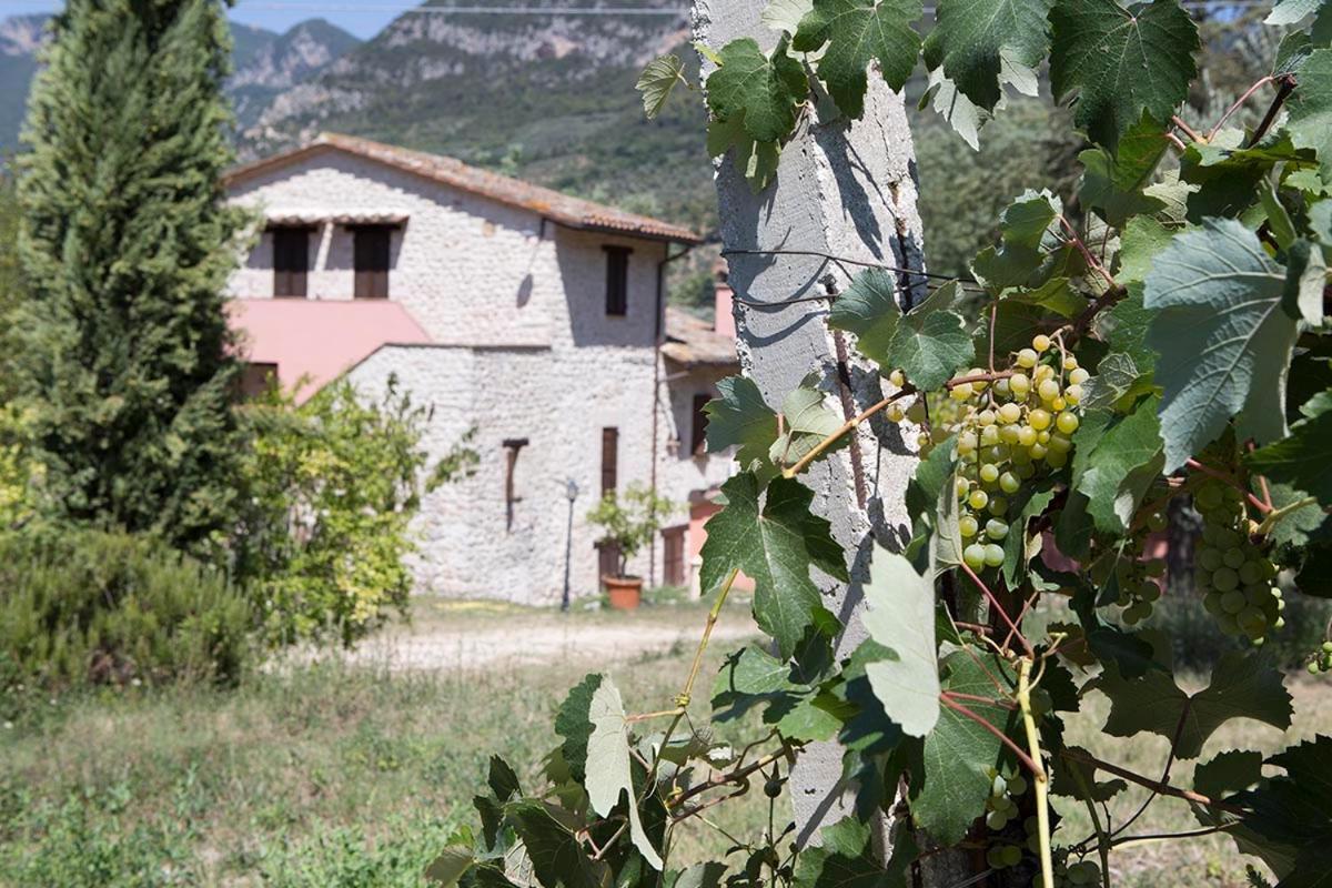 Agriturismo I Melograni Ферентилло Экстерьер фото