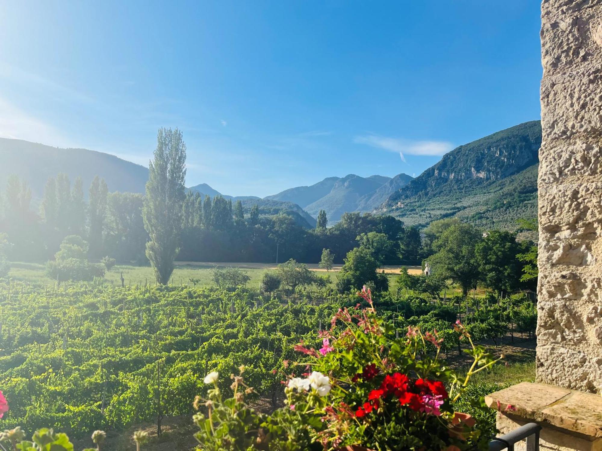 Agriturismo I Melograni Ферентилло Экстерьер фото